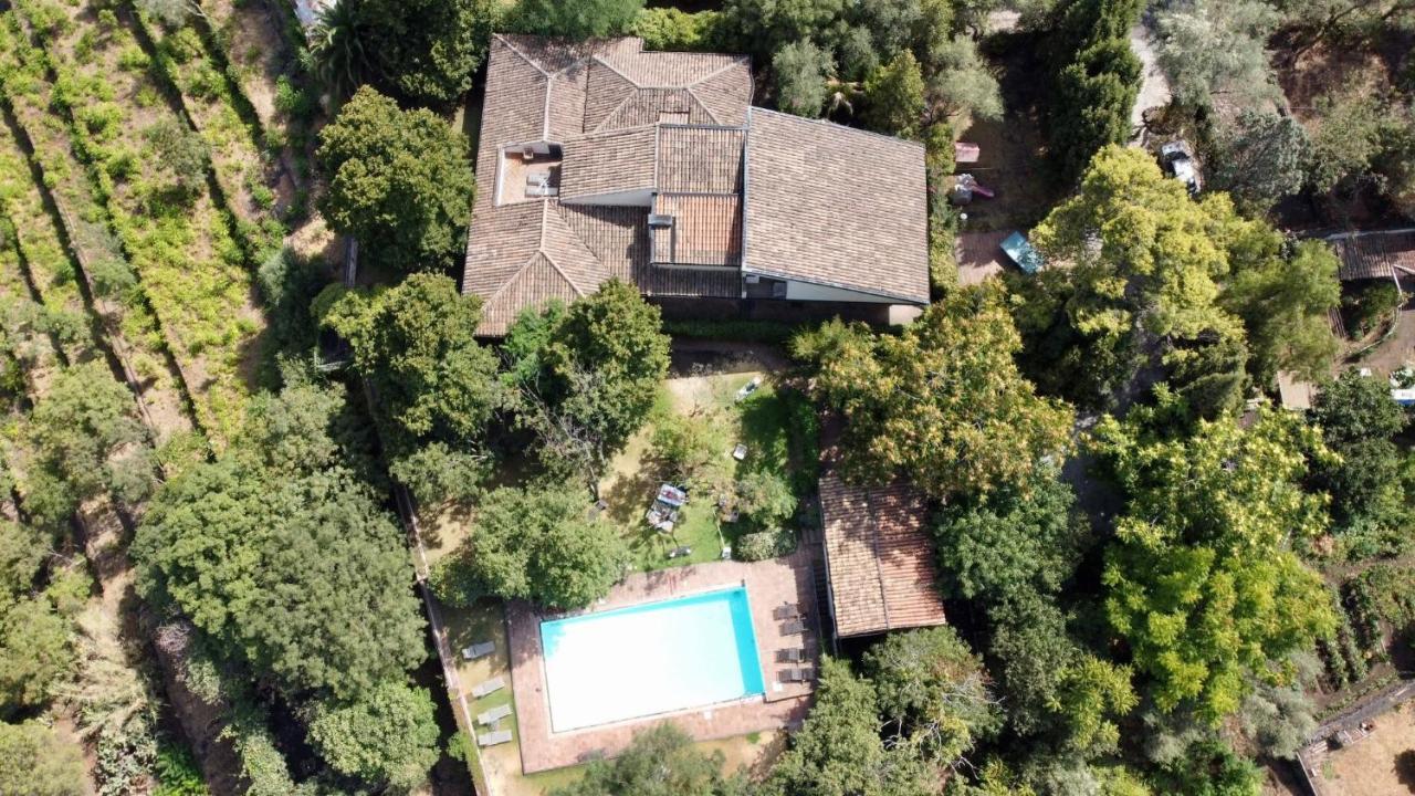 Il Palmento Villa Santa Venerina Ngoại thất bức ảnh